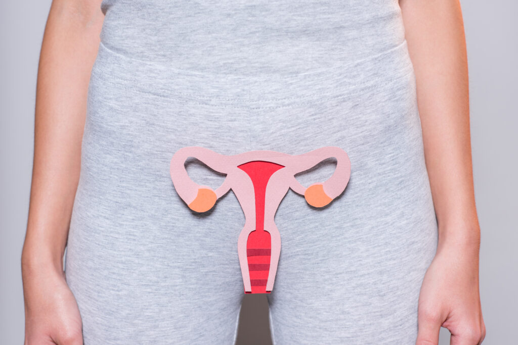 visão parcial de mulher com papel feito de sistema reprodutor feminino em fundo cinza